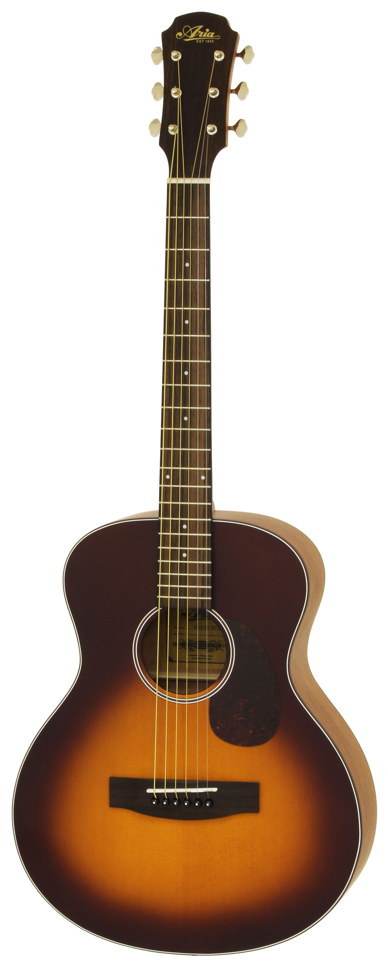 Aria 151 Lil' Acoustic Guitar - Musical Instrument Warehouse