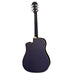 Aria AWN-15CE Acoustic Electric Guitar W/Cutaway EQ - Musical Instrument Warehouse