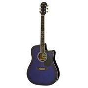 Aria AWN-15CE Acoustic Electric Guitar W/Cutaway EQ - Musical Instrument Warehouse