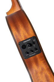 Bamboo Slim Guitar with Fishman - Musical Instrument Warehouse