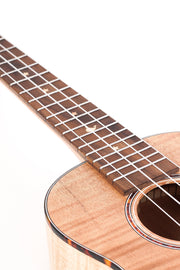 Bamboo The Fairy Concert Ukulele - Musical Instrument Warehouse