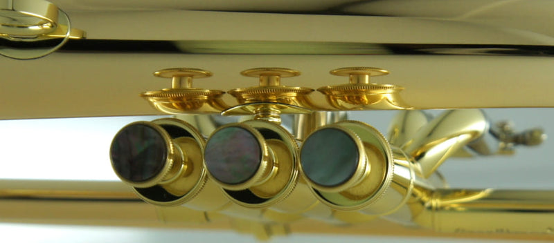 CarolBrass CFL-6200-GSS-Bb-L All Around Flugelhorn Lacquer Finish - Musical Instrument Warehouse