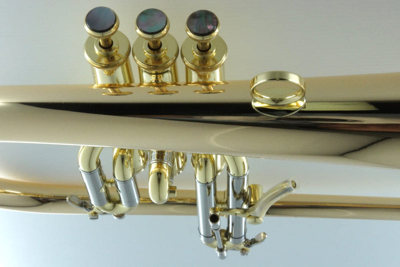 CarolBrass CFL-6200-GSS-Bb-L All Around Flugelhorn Lacquer Finish - Musical Instrument Warehouse