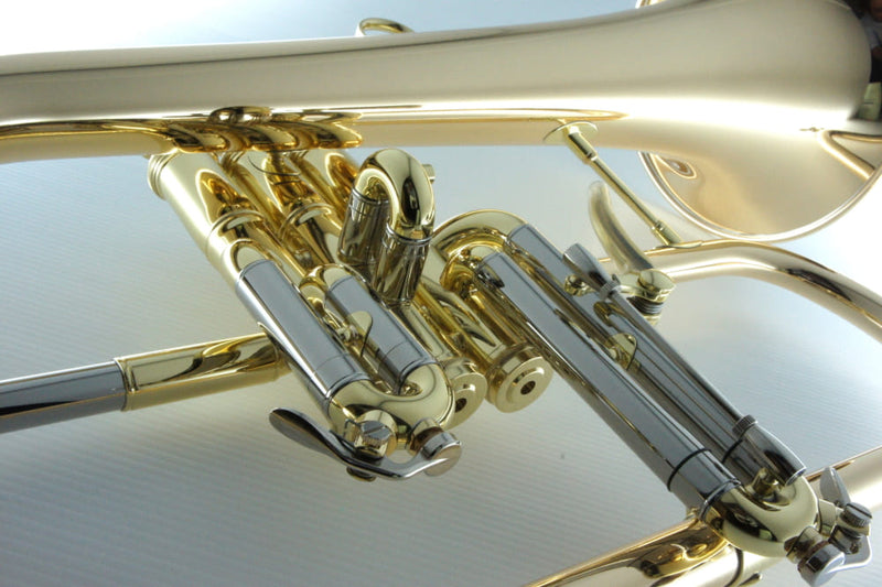 CarolBrass CFL-6200-GSS-Bb-L All Around Flugelhorn Lacquer Finish - Musical Instrument Warehouse