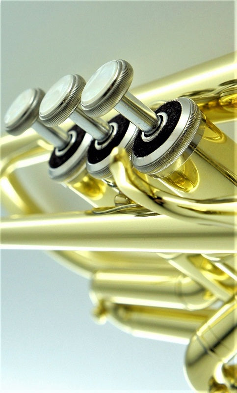 Carol Brass Student Model Trumpet – CTR‐1000H‐YSS‐Bb-L - Yellow Brass Lacquer Finish - Musical Instrument Warehouse