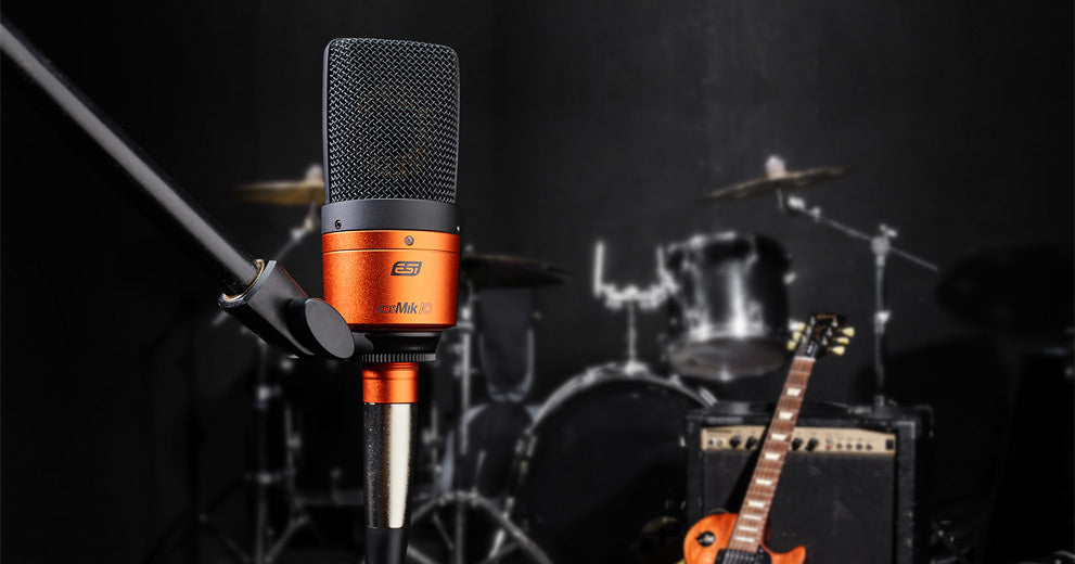 ESI cosMik 10 Professional Studio Condenser Microphone