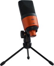 ESI cosMik 10 Professional Studio Condenser Microphone - Musical Instrument Warehouse