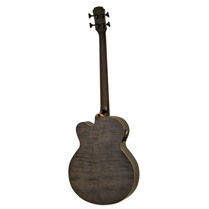 Aria Electro Acoustic FEB-F2/FL – Full Scale Fretless - Musical Instrument Warehouse