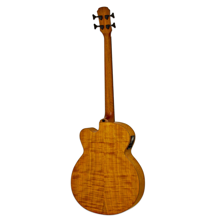 Aria Electro Acoustic FEB-F2/FL – Full Scale Fretless - Musical Instrument Warehouse