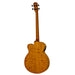 Aria Electro Acoustic FEB-F2/FL – Full Scale Fretless - Musical Instrument Warehouse