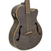 Aria FET - F2 Electro Acoustic Guitar - Musical Instrument Warehouse