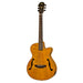 Aria FET - F2 Electro Acoustic Guitar - Musical Instrument Warehouse