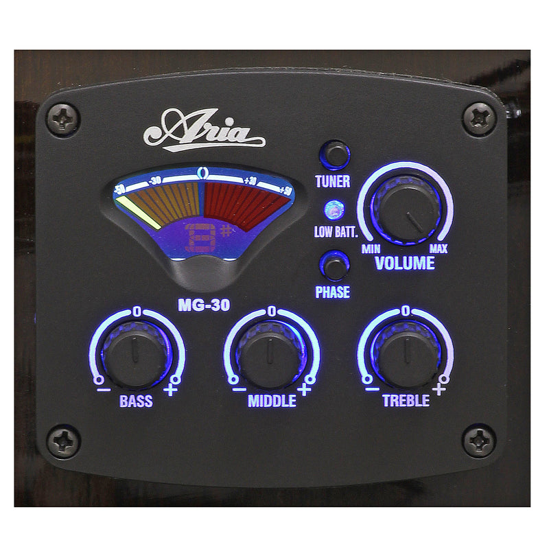 Aria AWN-15CE Acoustic Electric Guitar W/Cutaway EQ - Musical Instrument Warehouse