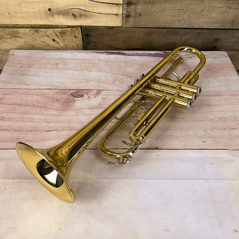 Carol Brass Student Model Trumpet – CTR‐1000H‐YSS‐Bb-L - Yellow Brass Lacquer Finish - Musical Instrument Warehouse