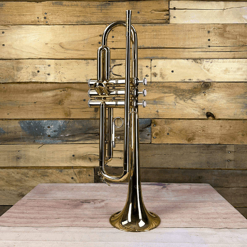 Carol Brass Student Model Trumpet – CTR‐1000H‐YSS‐Bb-L - Yellow Brass Lacquer Finish - Musical Instrument Warehouse