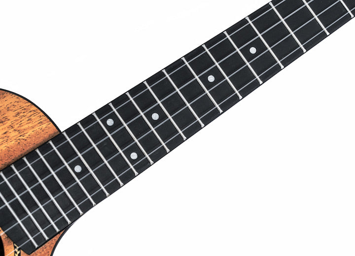 Twisted Wood EM-600T Ember Solid Mahogany Tenor Ukulele - Musical Instrument Warehouse