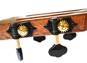 Twisted Wood KO-1000T Tenor Ukulele Solid Acacia - Musical Instrument Warehouse