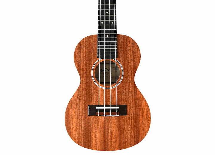 Twisted Wood PI-100T Tenor Ukulele Laminate Sapele Pioneer Series - Musical Instrument Warehouse