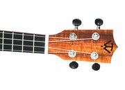 Twisted Wood SE-900T Sierra Tenor Ukulele Cedar Top - Musical Instrument Warehouse