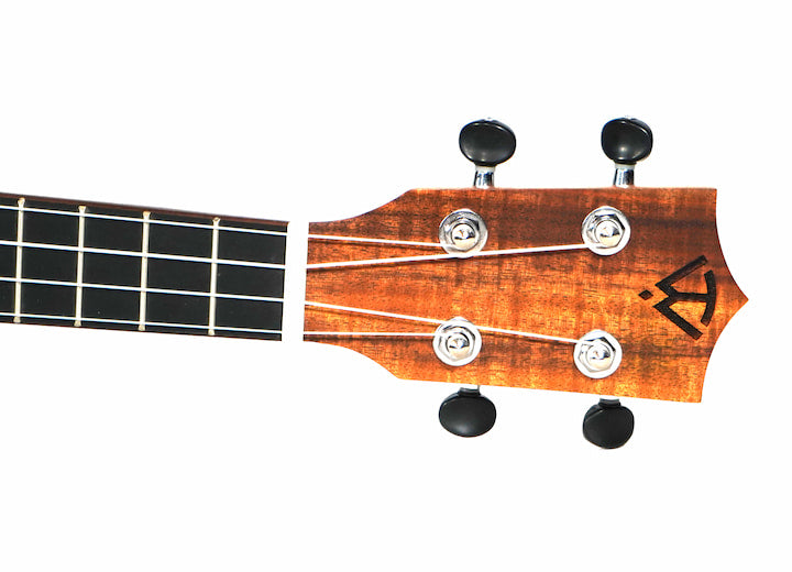 Twisted Wood SE-900T Sierra Tenor Ukulele Cedar Top - Musical Instrument Warehouse