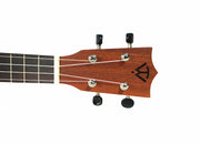 Twisted Wood TY-050T Tyro Laminate Sapele Tenor Ukulele - Musical Instrument Warehouse