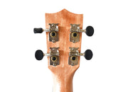 Twisted Wood TY-050T Tyro Laminate Sapele Tenor Ukulele - Musical Instrument Warehouse